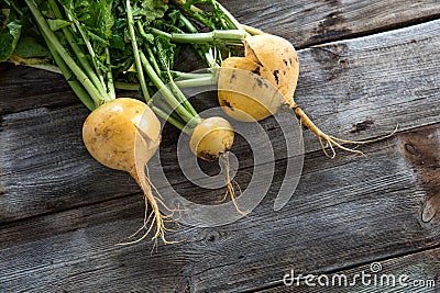 Above view of genuine sustainable yellow turnips with cracks Stock Photo