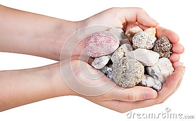 Above view of various mineral pebbles in handful Stock Photo