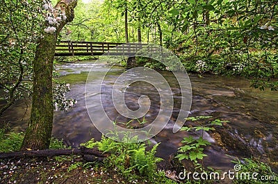 Abrams creek, spring, Cades Cove Stock Photo