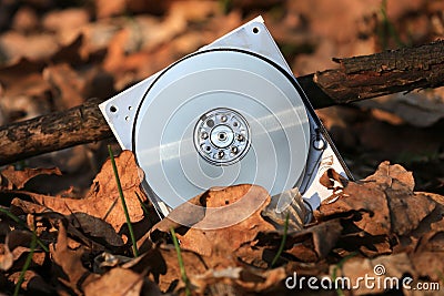 Computer hard disk in autumn leafage in forest Stock Photo