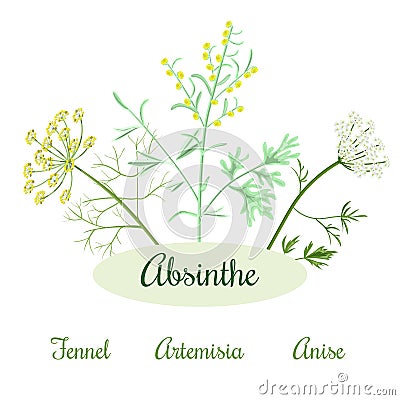 Absinthe herbs ingredients Cartoon Illustration