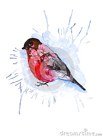 Absrtact watercolor illustration of a bullfinch bird isolated on white background Cartoon Illustration