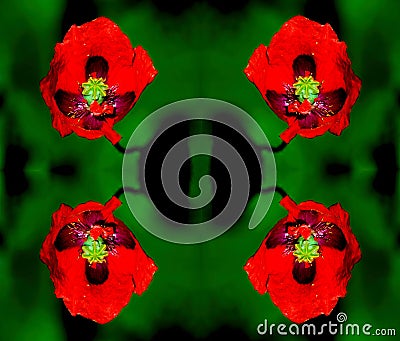 Abstact flower kaleidoscope Stock Photo