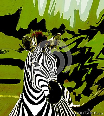 An Abstract African Safari Zebra Stock Photo