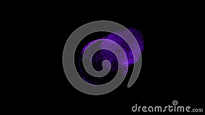 Abstract animation of rotating sphere decaying into multicolored moving particles on black background. Animation Stock Photo