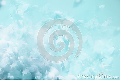 Abstract aqua blue floral background Stock Photo