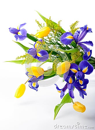Abstract arrangement of purple irises, yellow tulips and mimosa on white background Stock Photo