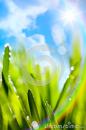 Abstract art natural spring green background with rainbow Stock Photo