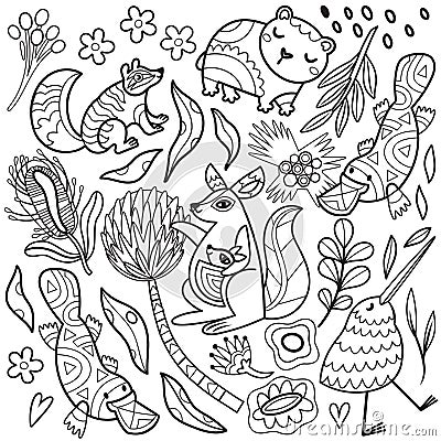 Abstract Australian animals, flowers and leaves set. Vector linear drawing Vector Illustration