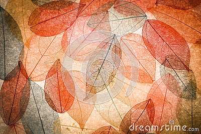 Abstract autumn background Stock Photo