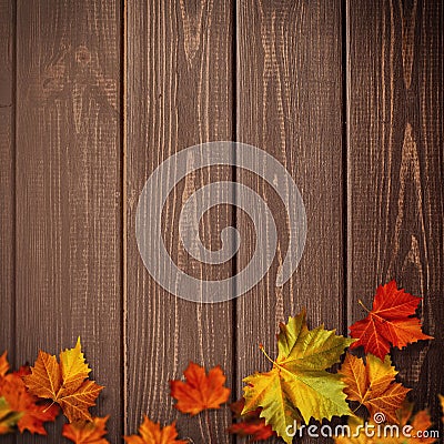 Abstract autumnal backgrounds. Fall maple leaves Stock Photo