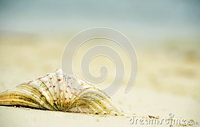 Abstract background blurs concept dreaming of tropical island holiday Stock Photo