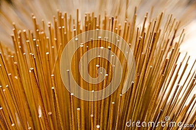 Abstract for background of Bulrushes Lepironia Articulata using as material for handicraft products, basket, bag, Thale Noi, Stock Photo