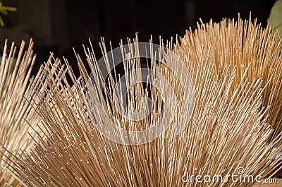 Abstract for background of Bulrushes Lepironia Articulata using as material for handicraft products, basket, bag, Thale Noi, Stock Photo