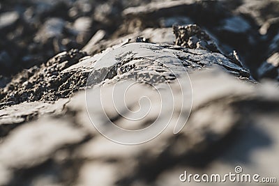 Abstract background with close up of plowed clay on the farmland in the dutch countryside Stock Photo