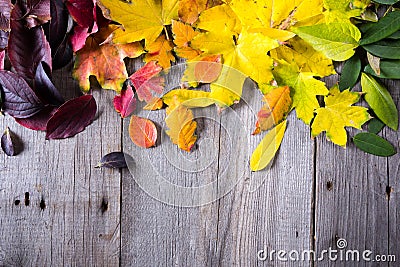 Abstract background of colourful autumn leaves Stock Photo