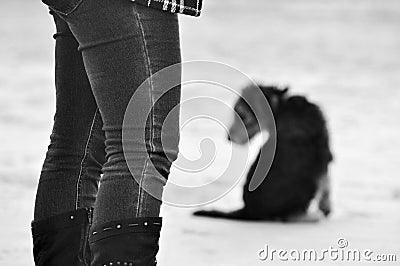 Abstract background concept grief loss death of pet dog Stock Photo