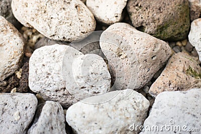 Abstract Background With Dry Pebble Stones Stock Photo