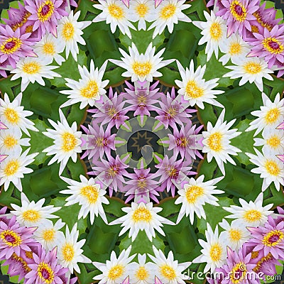 Abstract background of flower pattern of kaleidoscope. pink green background fractal mandala. kaleidoscopic arabesque Stock Photo