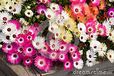 Abstract background flowers is more abstract the drawing a natural flower Stock Photo