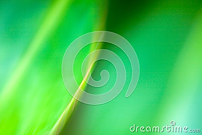 Abstract Background in Green Stock Photo