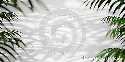 Abstract background, green leaves with tropic palm tree shadows. 3d render, digitally generated backdrop with copy space Stock Photo