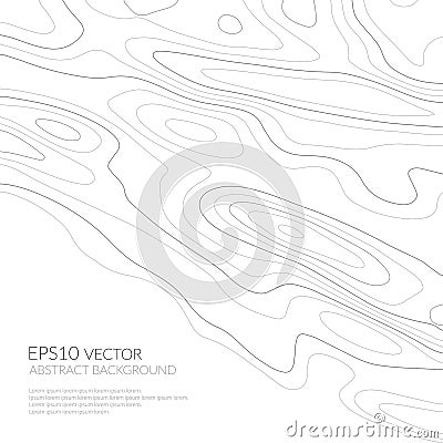 Abstract background with grey lines on a white background. Lines on a map. Monochrome image. Space for text. Vector Illustration