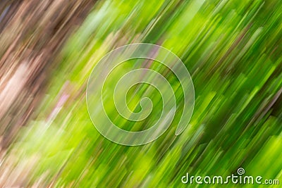 Abstract background image of green leaves and flowers with motion blur effect Cartoon Illustration