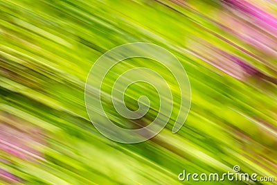 Abstract background image of green leaves and flowers with a motion blur effect Cartoon Illustration