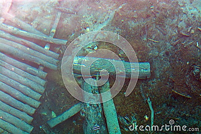 Abstract background the lake bottom, sunken trees at the bottom through the clear blue water Stock Photo