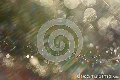 Abstract background - light color flashes and rays on black. Lens flare. For use as texture layer in your project. Stock Photo