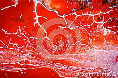 Abstract background of bright red paint with white veins, cracks Stock Photo
