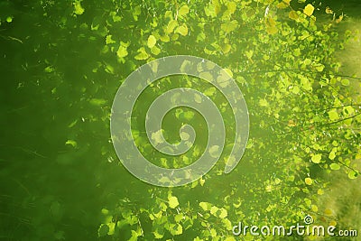 Abstract background in several colors Stock Photo