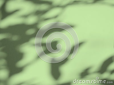 Abstract Background Summer Spring Autumn Overlay Light Shadow Green Leaves from Window House on Wall Floor Mable Cement Concrete Stock Photo