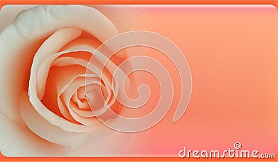 Roses in soft color, Made with blur style for background,,Blurred of Rose flowers blooming. in the pastel color style. Stock Photo