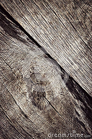 Detail drawing of oak wood Stock Photo