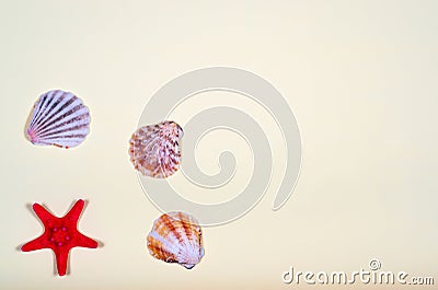 Abstract background of various shells Stock Photo