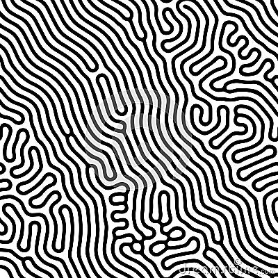 Abstract background of vector organic irregular lines maze pattern Vector Illustration