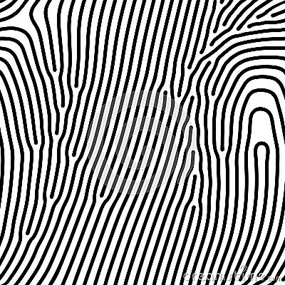 Abstract background of vector organic irregular lines maze pattern Vector Illustration