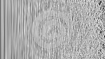 Abstract Background of a Web of Tangled White Strips in a Chaotic Pattern over Black. Stock Photo