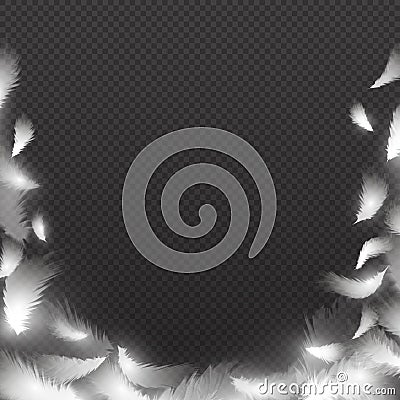 Abstract background with white fluffy feathers. Vector feather frame Vector Illustration