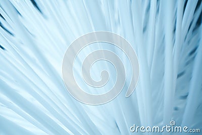 Abstract background of white plastic threads Stock Photo