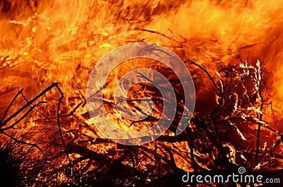 Abstract background wild flames of bush fire Stock Photo