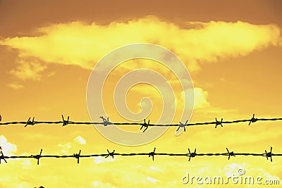 Abstract barbed wire Stock Photo