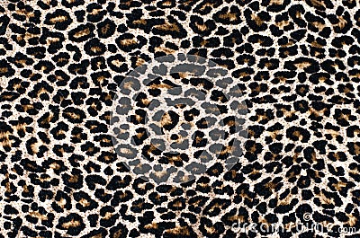 Abstract beautiful background of leopard print Stock Photo