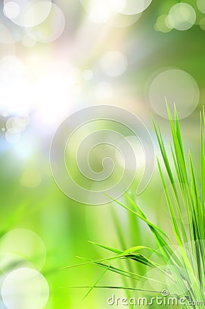 Abstract beautiful fresh grass and light reflect Stock Photo