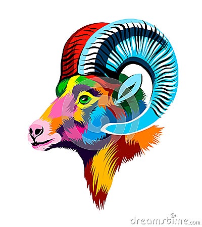 Abstract bighorn sheep head portrait, mountain sheep from multicolored paints. Colored drawing Vector Illustration