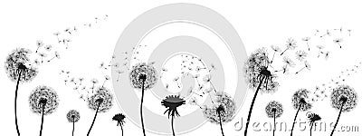 Abstract black dandelion, dandelion with flying seeds illustration Vector Illustration
