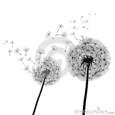 Abstract black dandelion, dandelion with flying seeds illustration - vector Cartoon Illustration