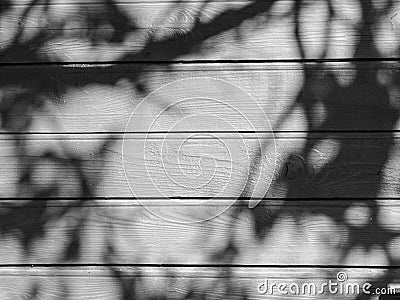 Black and white image with wood texture and plant shadows, suitable for background Stock Photo